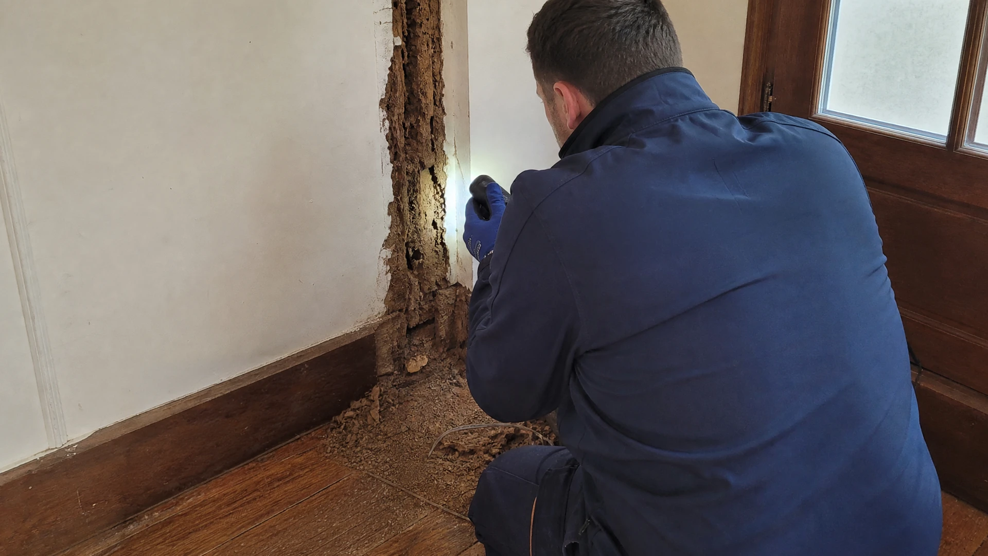 Atelier de menuiserie ou chantier de construction avec poutre en bois massif présentant des dégâts importants causés par des insectes xylophages